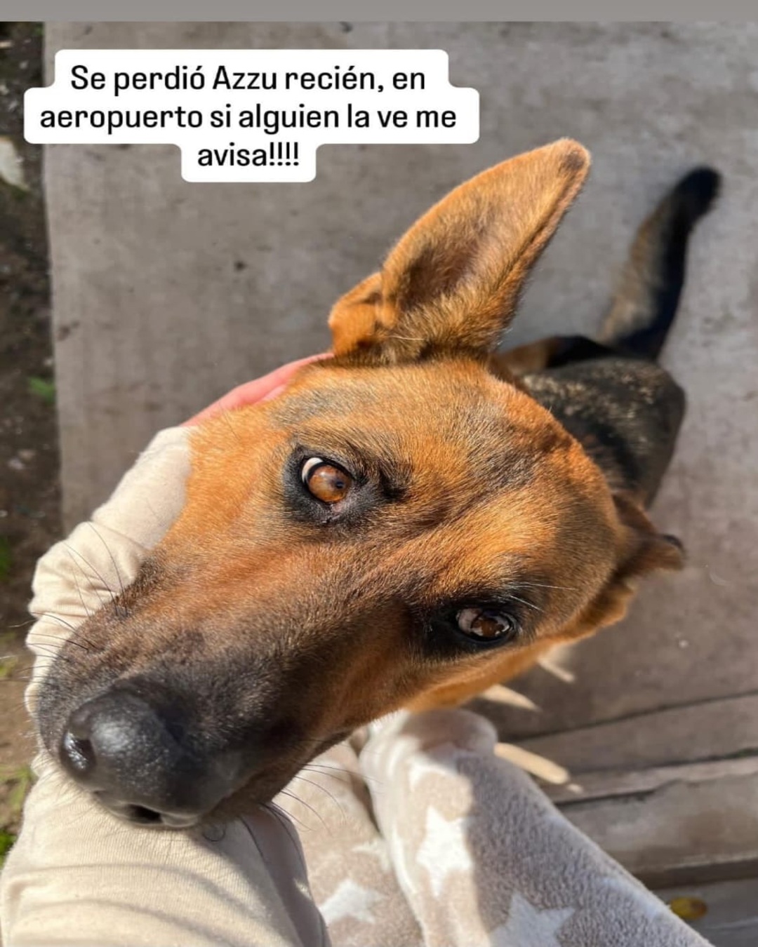 AZZU - Imagen 2