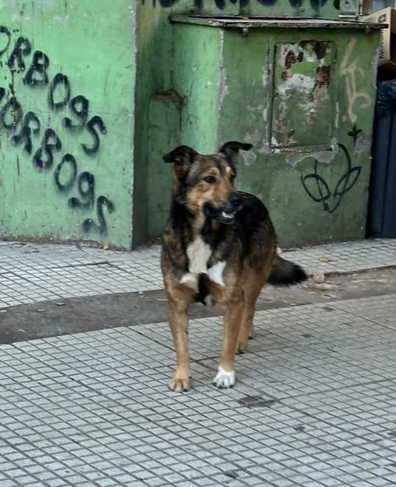 OSO