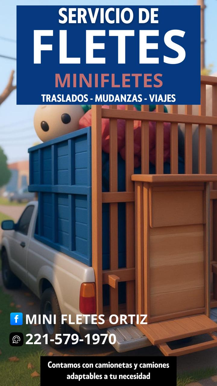 Minifletes