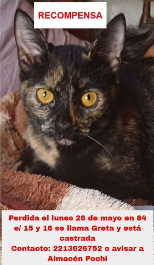 GRETA