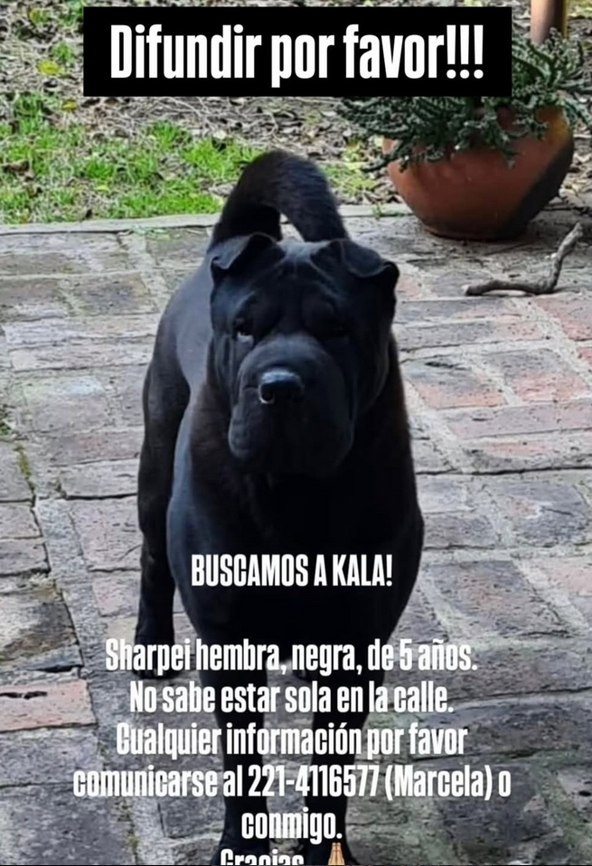 KALA
