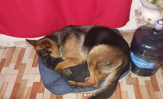 KOBA
