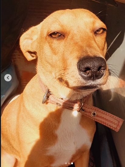 LOLA - Imagen 3