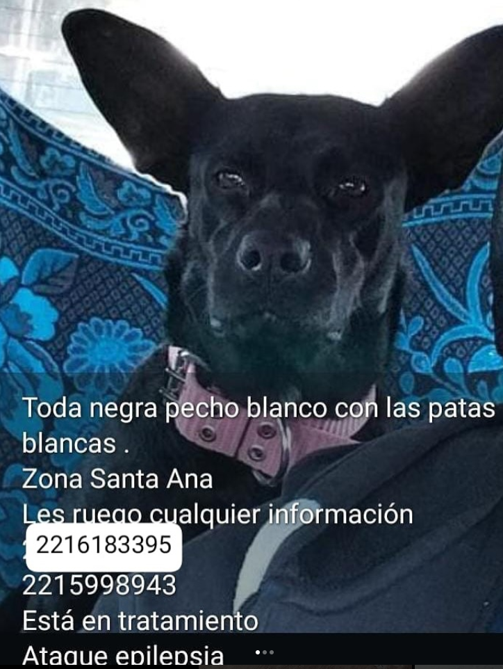 NEGRA
