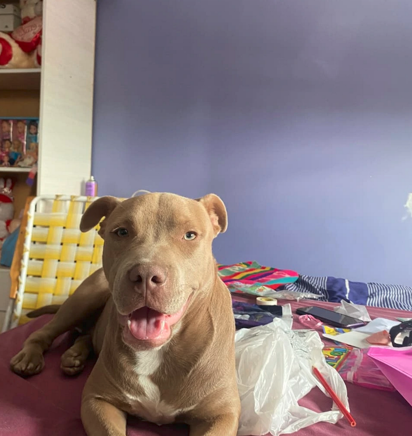 PIBA