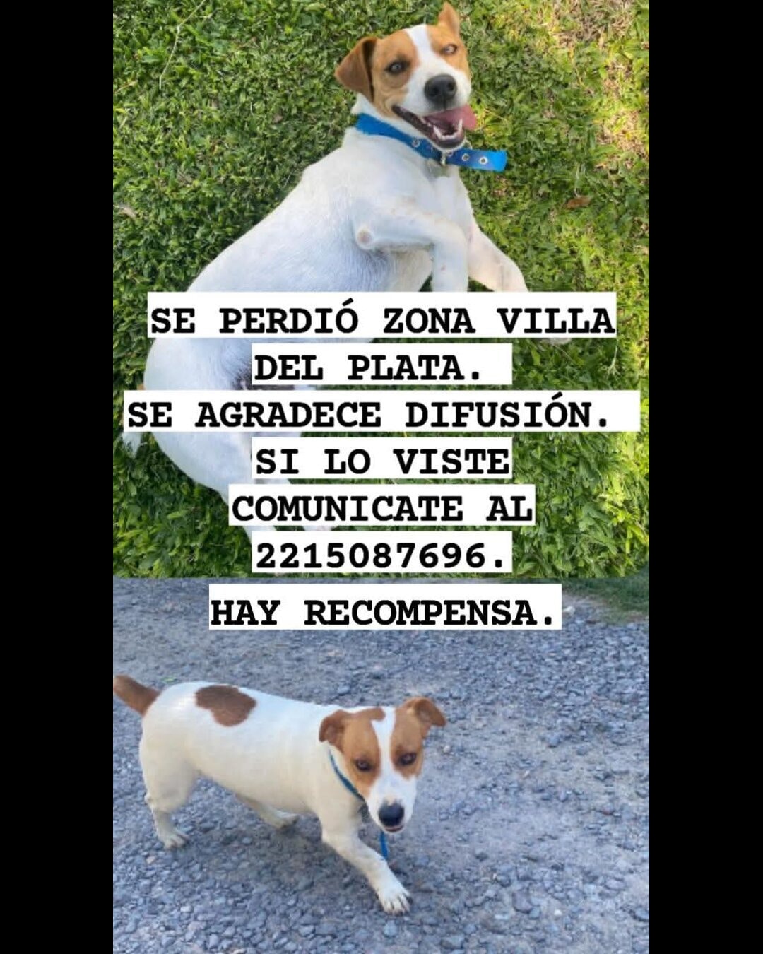 PUKY