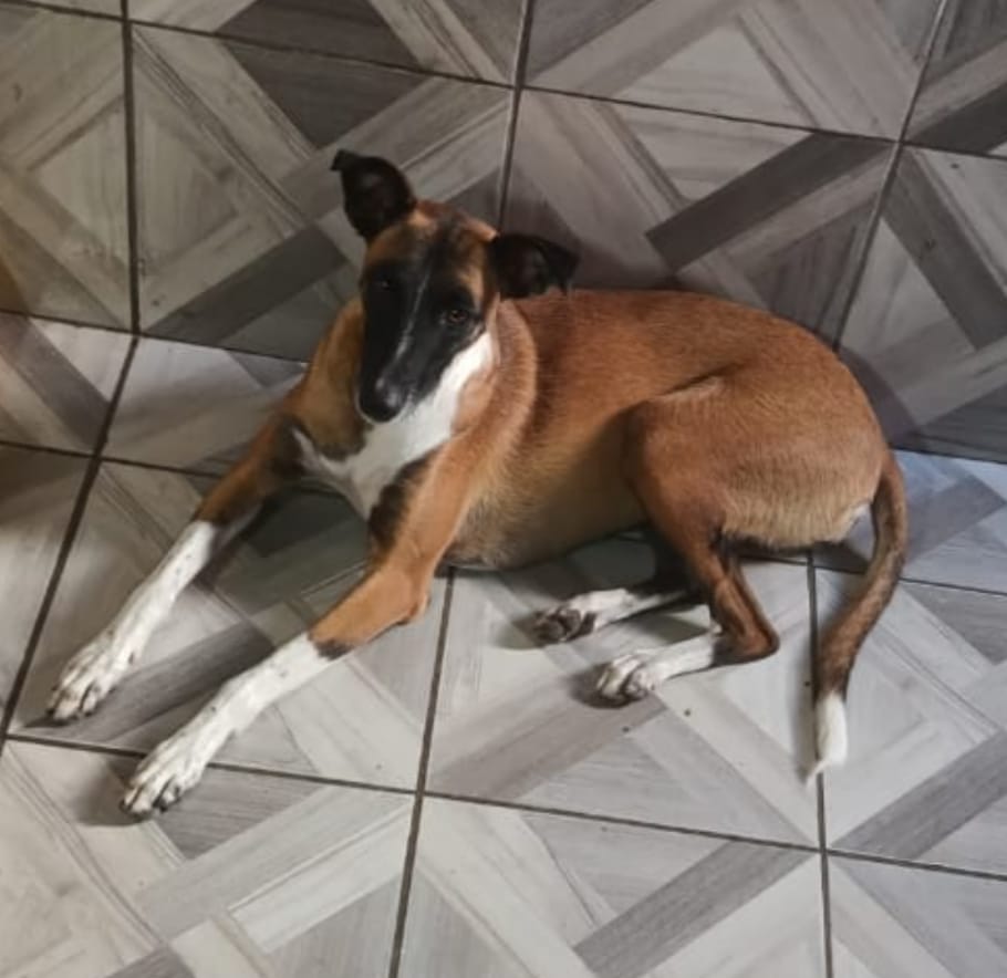 ROCÍO