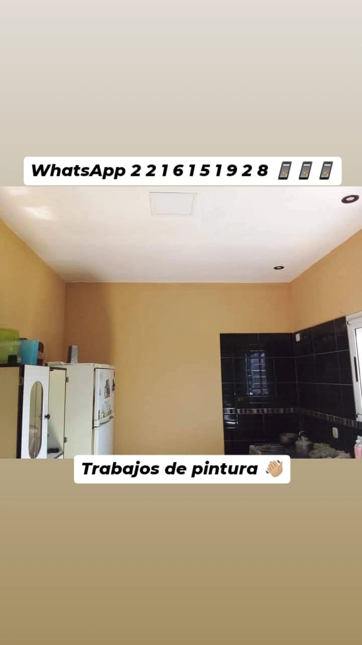 🎨 Trabajos de Pintura en General - Emmanuel ✍🏼 - Imagen 3