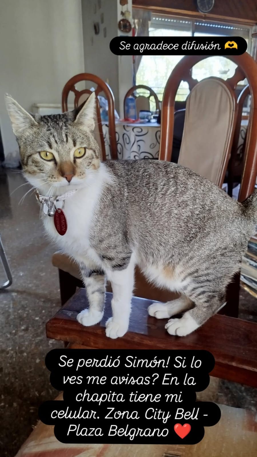 SIMON