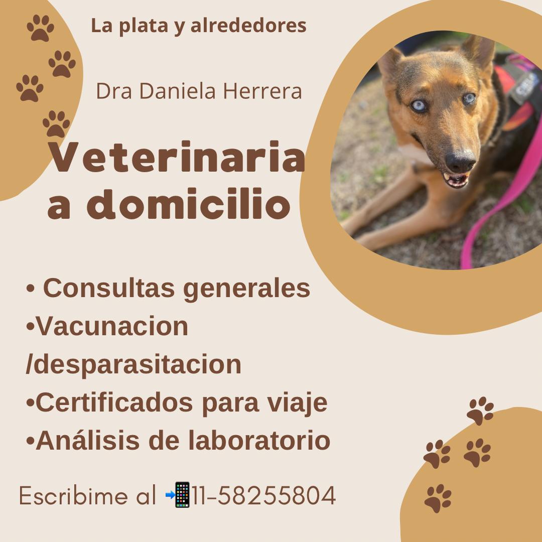 🐾 Veterinaria a domicilio – MV Daniela Herrera