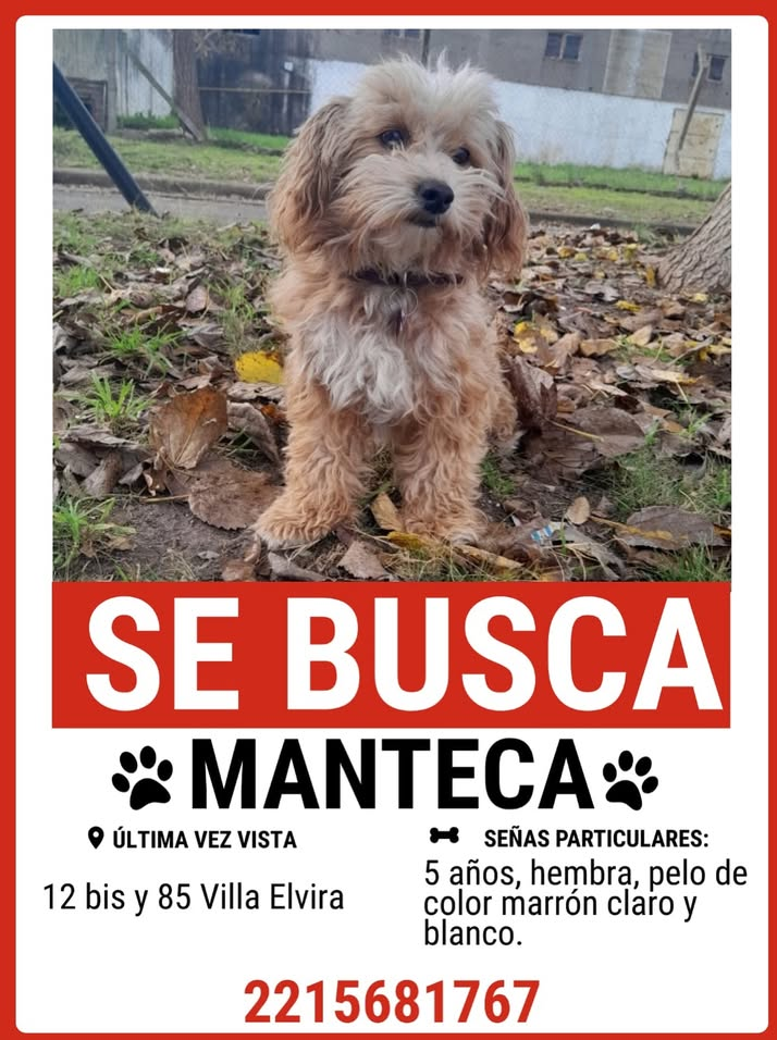 MANTECA